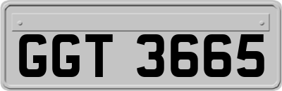 GGT3665