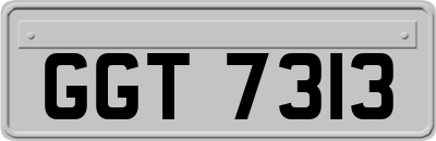 GGT7313