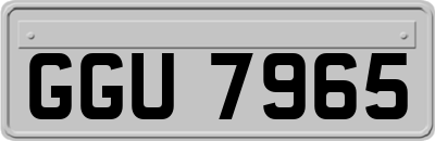 GGU7965