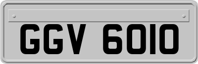 GGV6010