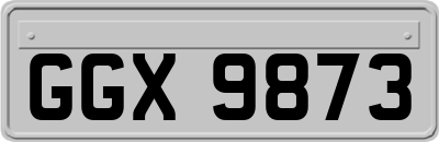 GGX9873