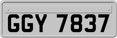 GGY7837