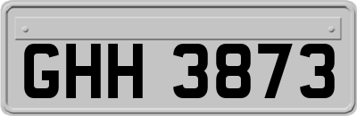 GHH3873
