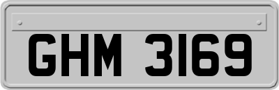 GHM3169