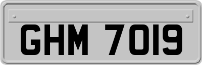 GHM7019