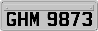 GHM9873
