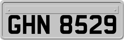 GHN8529