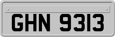 GHN9313