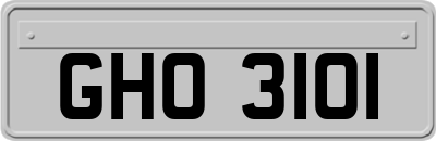 GHO3101