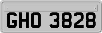 GHO3828