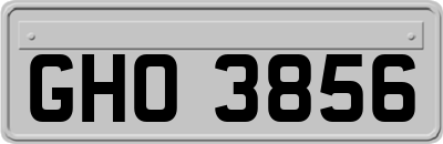 GHO3856
