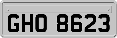 GHO8623