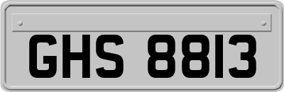 GHS8813