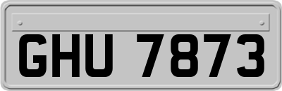 GHU7873