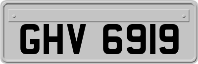 GHV6919