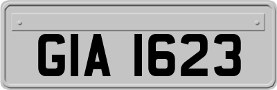 GIA1623