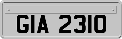GIA2310