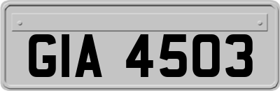 GIA4503