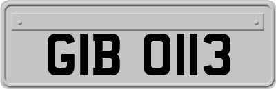 GIB0113