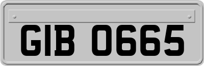 GIB0665