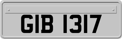 GIB1317