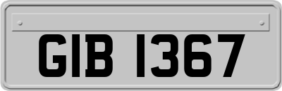 GIB1367