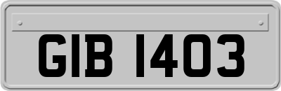 GIB1403