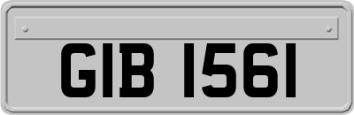 GIB1561