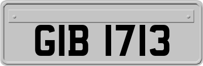 GIB1713