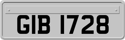 GIB1728