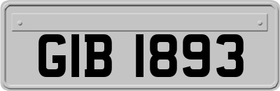 GIB1893