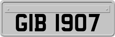 GIB1907