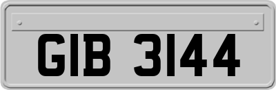 GIB3144