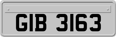 GIB3163