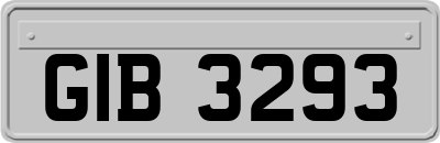 GIB3293