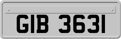 GIB3631