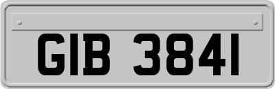 GIB3841