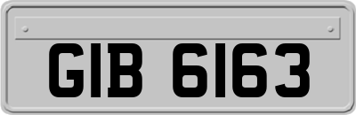 GIB6163