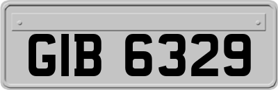 GIB6329