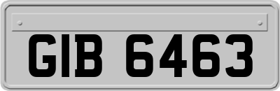 GIB6463