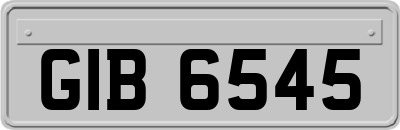 GIB6545