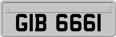 GIB6661