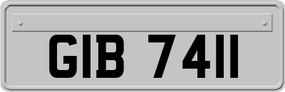 GIB7411