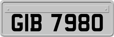GIB7980