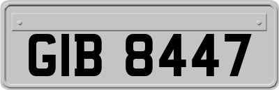 GIB8447