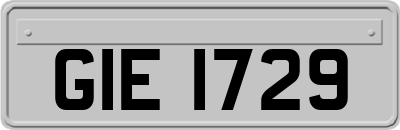 GIE1729