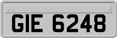 GIE6248