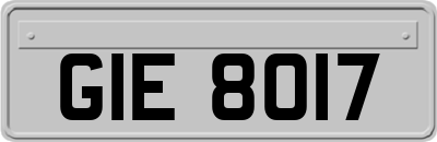 GIE8017