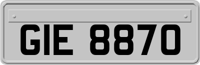 GIE8870