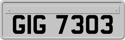GIG7303